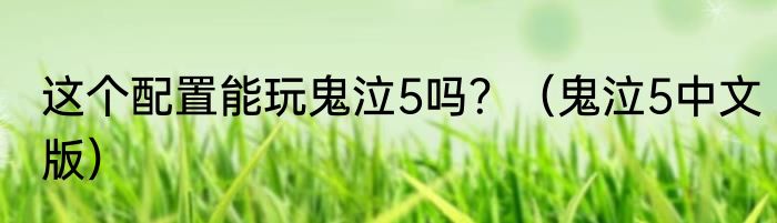 这个配置能玩鬼泣5吗？（鬼泣5中文版）