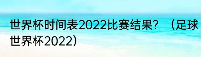 世界杯时间表2022比赛结果？（足球世界杯2022）