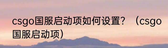 csgo国服启动项如何设置？（csgo国服启动项）