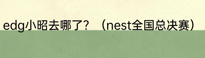edg小昭去哪了？（nest全国总决赛）