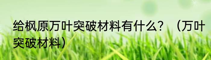 给枫原万叶突破材料有什么？（万叶突破材料）