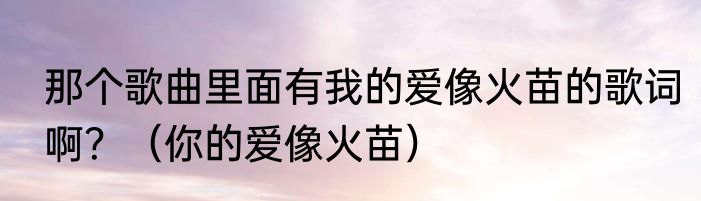 那个歌曲里面有我的爱像火苗的歌词啊？（你的爱像火苗）