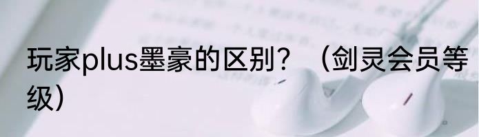 玩家plus墨豪的区别？（剑灵会员等级）