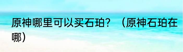 原神哪里可以买石珀？（原神石珀在哪）