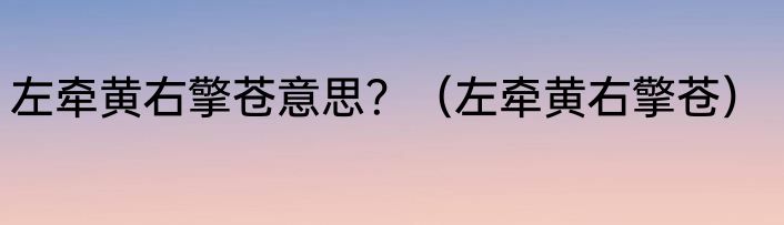 左牵黄右擎苍意思？（左牵黄右擎苍）