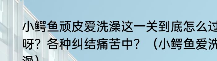 小鳄鱼顽皮爱洗澡这一关到底怎么过呀？各种纠结痛苦中？（小鳄鱼爱洗澡）