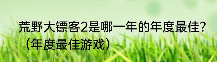 荒野大镖客2是哪一年的年度最佳？（年度最佳游戏）