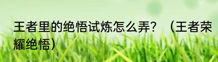 王者里的绝悟试炼怎么弄？（王者荣耀绝悟）