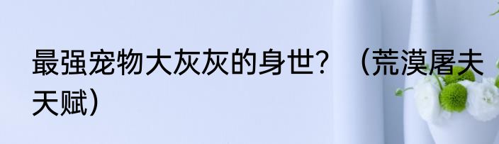 最强宠物大灰灰的身世？（荒漠屠夫天赋）