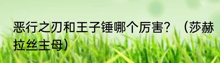 恶行之刃和王子锤哪个厉害？（莎赫拉丝主母）