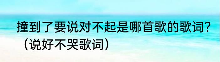 撞到了要说对不起是哪首歌的歌词？（说好不哭歌词）