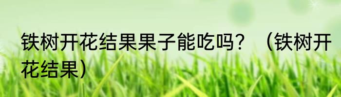 铁树开花结果果子能吃吗？（铁树开花结果）