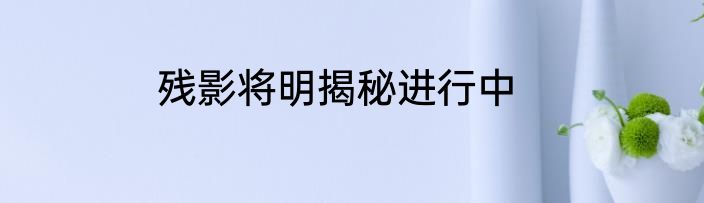 残影将明揭秘进行中