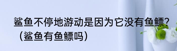 鲨鱼不停地游动是因为它没有鱼鳔？（鲨鱼有鱼鳔吗）
