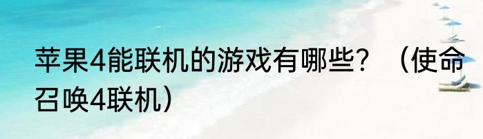 苹果4能联机的游戏有哪些？（使命召唤4联机）