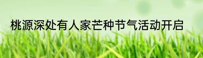 桃源深处有人家芒种节气活动开启