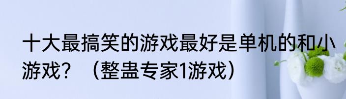 十大最搞笑的游戏最好是单机的和小游戏？（整蛊专家1游戏）