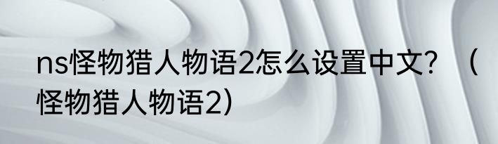 ns怪物猎人物语2怎么设置中文？（怪物猎人物语2）
