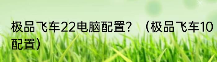 极品飞车22电脑配置？（极品飞车10配置）