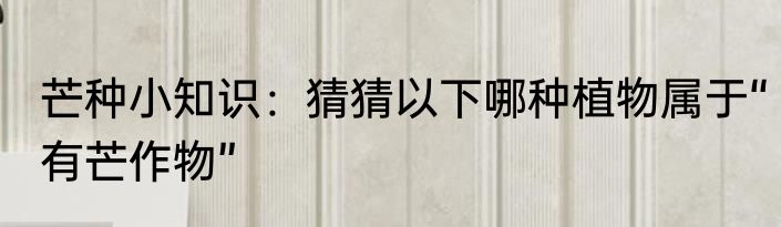 芒种小知识：猜猜以下哪种植物属于“有芒作物”