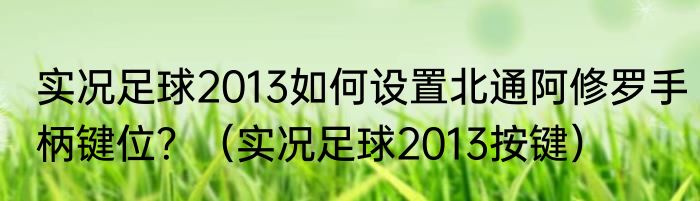 实况足球2013如何设置北通阿修罗手柄键位？（实况足球2013按键）