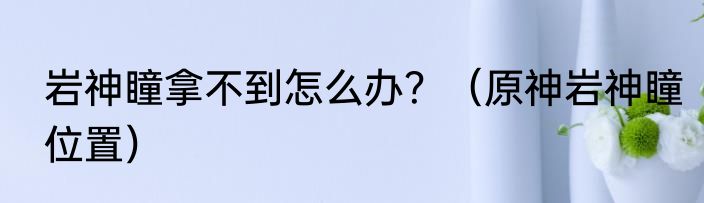 岩神瞳拿不到怎么办？（原神岩神瞳位置）