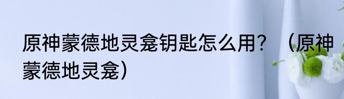 原神蒙德地灵龛钥匙怎么用？（原神蒙德地灵龛）