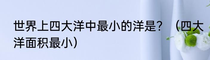 世界上四大洋中最小的洋是？（四大洋面积最小）