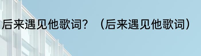 后来遇见他歌词？（后来遇见他歌词）