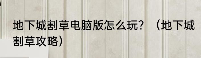 地下城割草电脑版怎么玩？（地下城割草攻略）