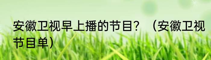 安徽卫视早上播的节目？（安徽卫视节目单）