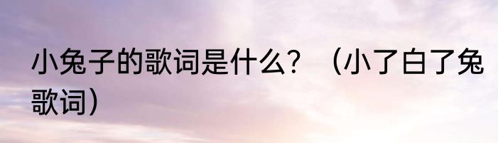 小兔子的歌词是什么？（小了白了兔歌词）