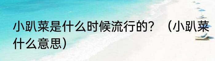 小趴菜是什么时候流行的？（小趴菜什么意思）