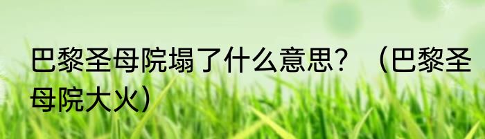 巴黎圣母院塌了什么意思？（巴黎圣母院大火）