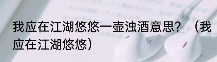我应在江湖悠悠一壶浊酒意思？（我应在江湖悠悠）