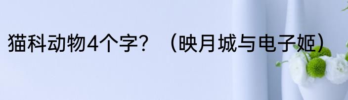 猫科动物4个字？（映月城与电子姬）