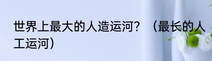 世界上最大的人造运河？（最长的人工运河）