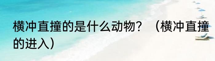 横冲直撞的是什么动物？（横冲直撞的进入）