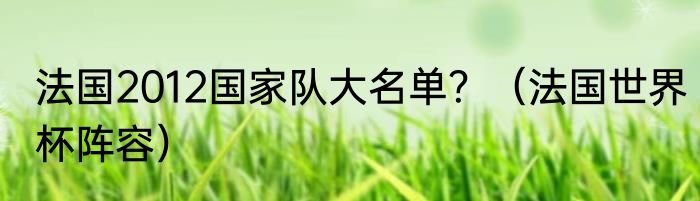 法国2012国家队大名单？（法国世界杯阵容）
