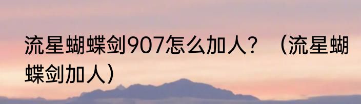 流星蝴蝶剑907怎么加人？（流星蝴蝶剑加人）