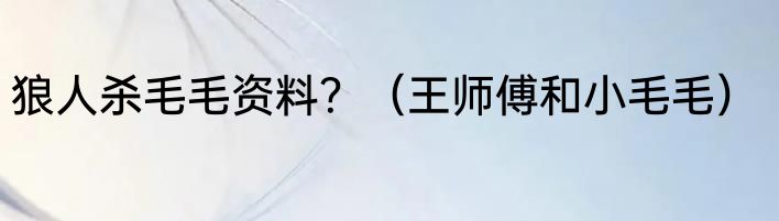 狼人杀毛毛资料？（王师傅和小毛毛）