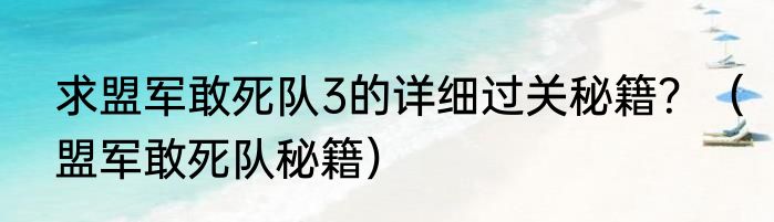 求盟军敢死队3的详细过关秘籍？（盟军敢死队秘籍）