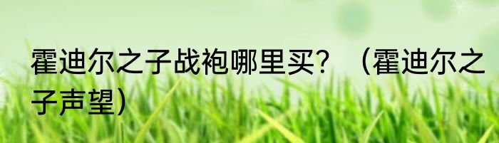 霍迪尔之子战袍哪里买？（霍迪尔之子声望）