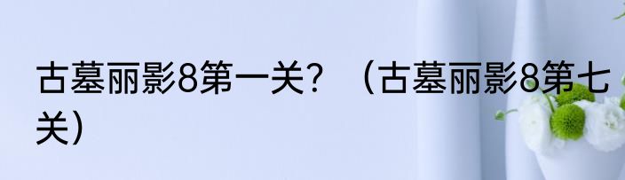 古墓丽影8第一关？（古墓丽影8第七关）