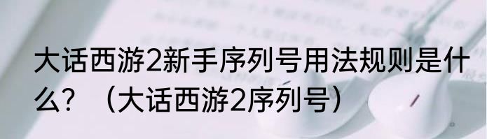 大话西游2新手序列号用法规则是什么？（大话西游2序列号）