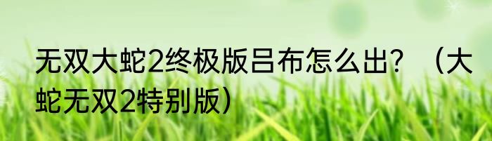 无双大蛇2终极版吕布怎么出？（大蛇无双2特别版）