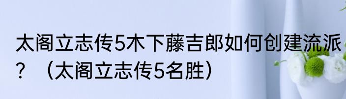 太阁立志传5木下藤吉郎如何创建流派？（太阁立志传5名胜）