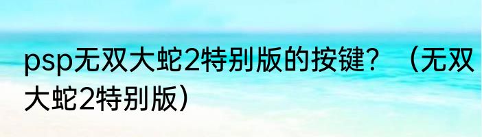 psp无双大蛇2特别版的按键？（无双大蛇2特别版）