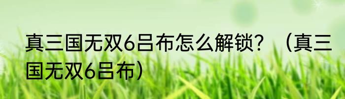 真三国无双6吕布怎么解锁？（真三国无双6吕布）