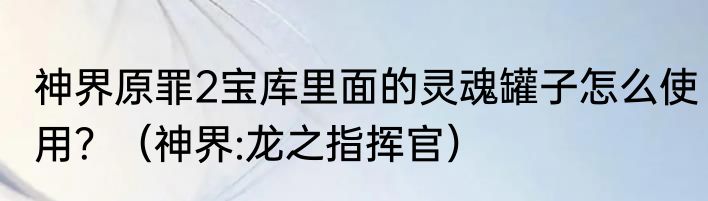 神界原罪2宝库里面的灵魂罐子怎么使用？（神界:龙之指挥官）